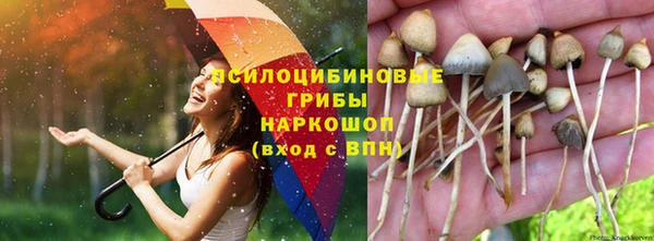 соль ск Алексин